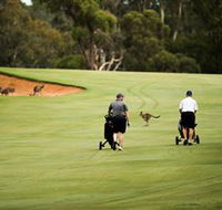 Federal Golf Club - Accommodation Australia