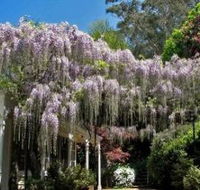 Nooroo Gardens - Local Tourism