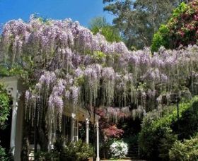 Nooroo Gardens - Accommodation Australia 0