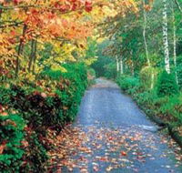Mount Wilson and Mount Irvine - Local Tourism