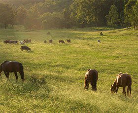 Chapman Valley Horse Riding - Accommodation Australia 4