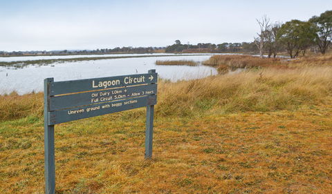 Lagoon Circuit Walking Track - Accommodation Australia 0