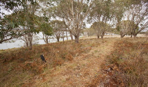 Lagoon Circuit Walking Track - Accommodation Australia 1
