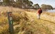 Lagoon Circuit Walking Track - thumb 2