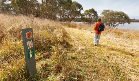 Lagoon Circuit Walking Track - Accommodation Australia 2