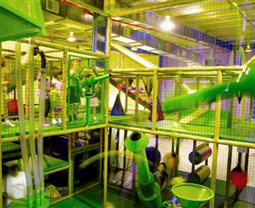 Monkey Mania - Accommodation Australia 1