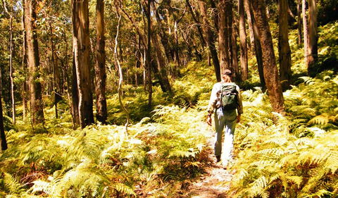 Federal Pass - Accommodation Australia 0
