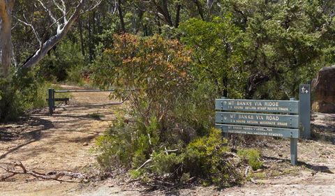 Mount Banks Road Cycle Route - Accommodation Australia 1
