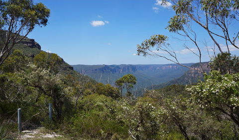 Mount Banks Road Cycle Route - Accommodation Australia 2