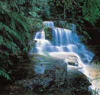 Leura Cascades - Australia Shopping