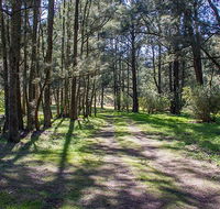 Wombeyan Waterfall walking track - Accommodation Australia