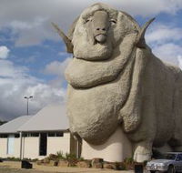 Big Merino - Accommodation Australia