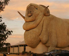 Big Merino - Local Tourism 3