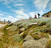 Mount Kosciuszko Summit walk - Local Tourism