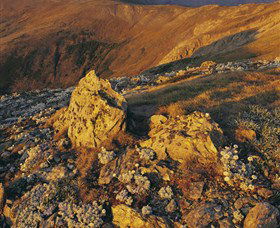 Kosciuszko National Park - Charlottes Pass To Snowy River - Accommodation Australia 1