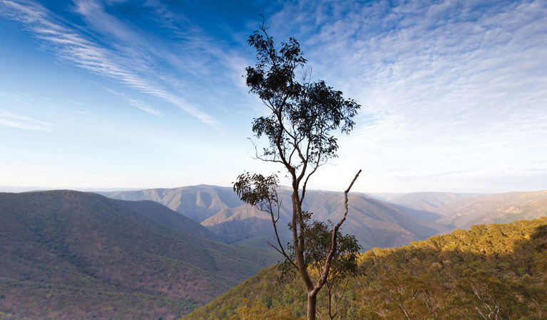Mihi NSW Accommodation Australia