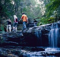South Lawson Waterfall Circuit - Local Tourism