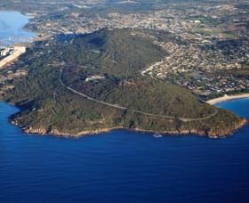 Avenue Of Honour - Accommodation Australia 0