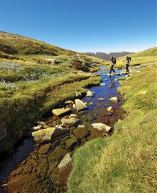 Australian Alps Walking Track - Accommodation Australia 0