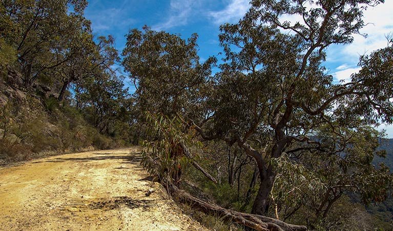 Colo Heights NSW Accommodation Australia