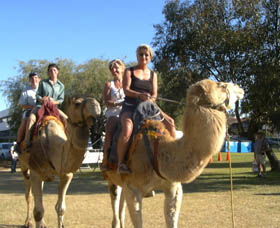 Calamunnda Camel Farm  - Local Tourism 0
