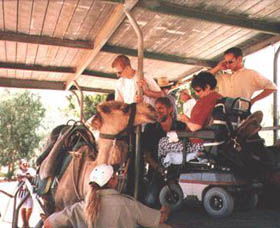 Calamunnda Camel Farm  - Local Tourism 3