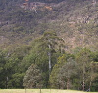 Bangadilly National Park - Accommodation Australia
