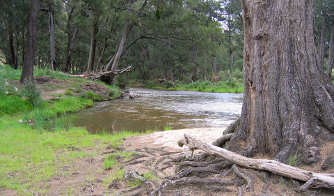Bangadilly National Park - Accommodation Australia 3