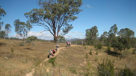 Kambah Pool To Pine Island - Accommodation Australia 3