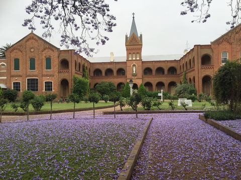 Sacred Spaces At The Sisters Of Mercy Convent - Accommodation Australia 12