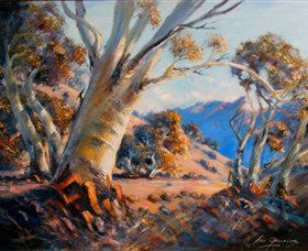 East Jindabyne NSW Australia Shopping