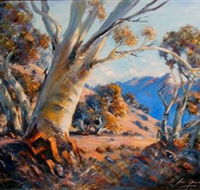 Kunama Snowy Mountains Centre for the Arts - Local Tourism