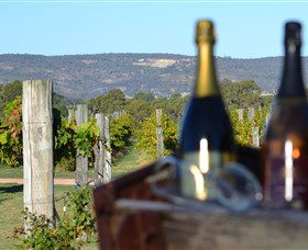 Ugly Duckling Wines - Local Tourism 1