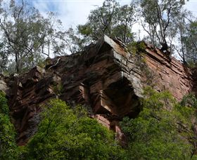 Mitchell River Walking Track - Accommodation Australia 2