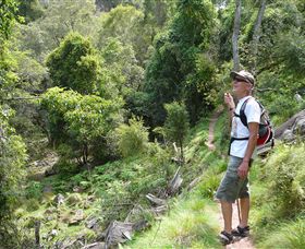 Mitchell River Walking Track - Accommodation Australia 1