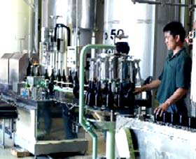 Sun Masamune Sake Brewery - Local Tourism 2