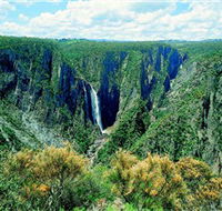 Wollomombi Falls - Accommodation Australia