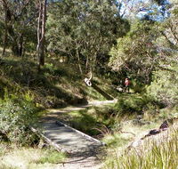 Wollomombi walking track - Accommodation Australia