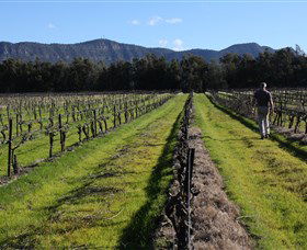 Around Hermitage Wine And Food Trail Hunter Valley - Accommodation Australia 1
