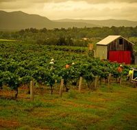 Around Hermitage Wine and Food Trail Hunter Valley - Accommodation Australia