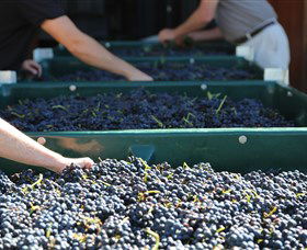 Around Hermitage Wine And Food Trail Hunter Valley - Accommodation Australia 6