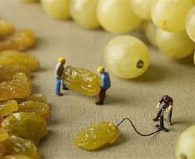 Hunter Valley Wine School - Local Tourism 0