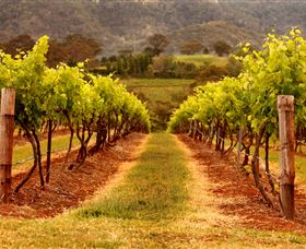 Hunter Valley Wine School - Local Tourism 1
