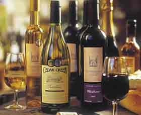 Stonehurst Cedar Creek Vineyard - Local Tourism 1