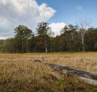 Mummel Gulf National Park - Accommodation Australia