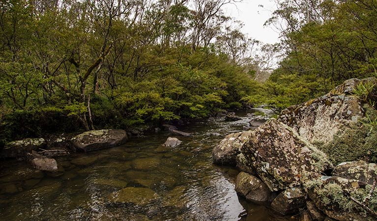 Gloucester Tops NSW Accommodation Australia