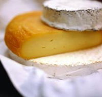 Hunter Valley Cheese Company - Local Tourism