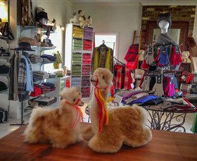 Australian Alpaca Barn - Hunter Valley Gardens - Accommodation Australia 2