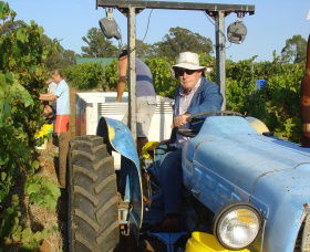 Pokolbin Brothers Wines Hunter Valley - Local Tourism 1