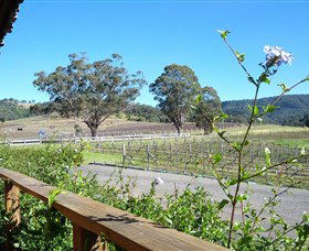 Drayton's Family Wines - Local Tourism 2